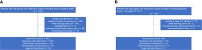 Morphological Subtypes of Tumor Spread Through Air Spaces in Non-Small Cell Lung Cancer: Prognostic Heterogeneity and Its Underlying Mechanism